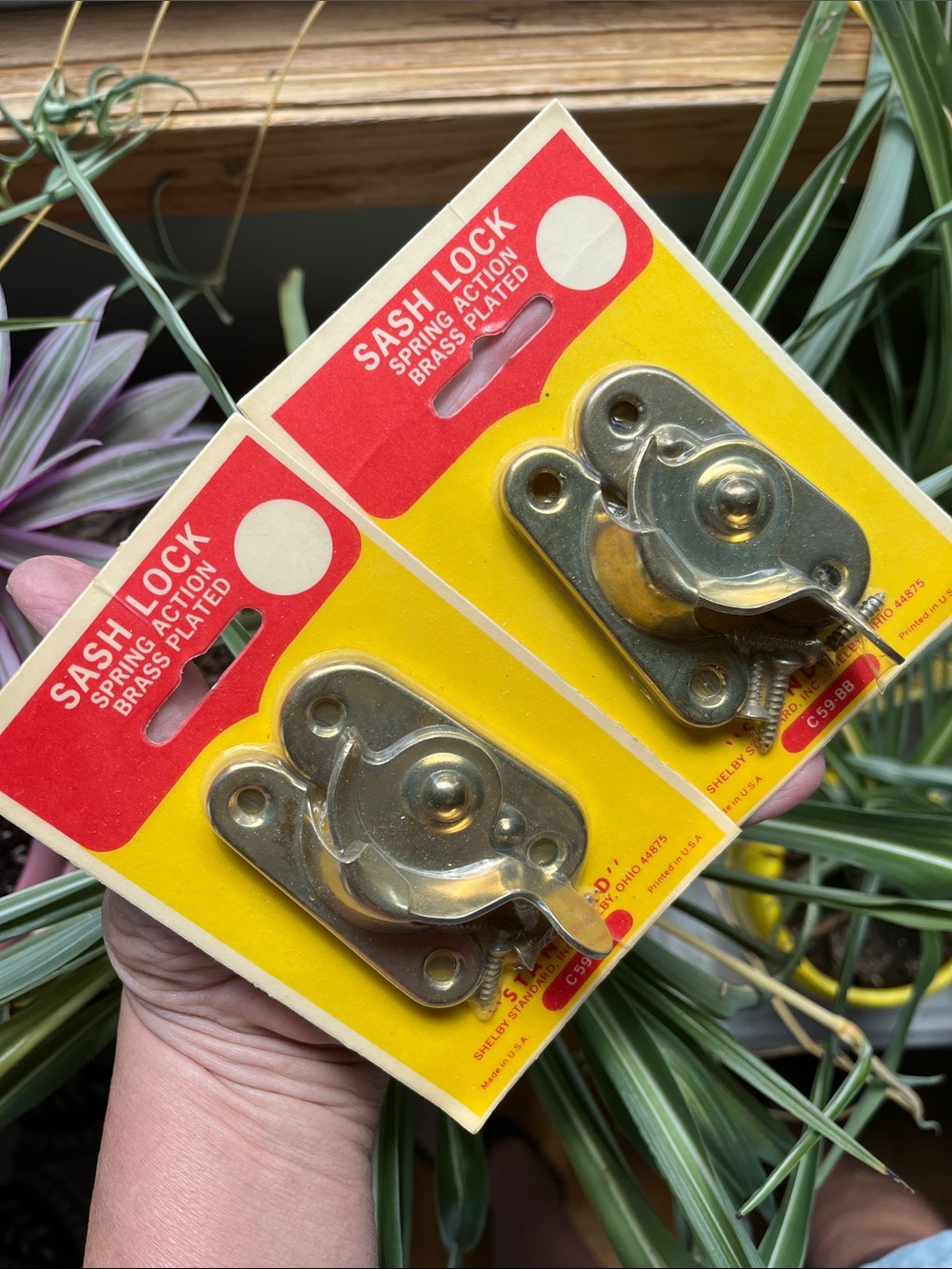 2 Vtg Window Spring Action Sash Locks Brass Plated Shelby Standard C59-BB NIP OH